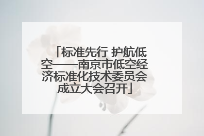 标准先行 护航低空——南京市低空经济标准化技术委员会成立大会召开