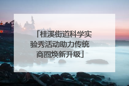 桂溪街道科学实验秀活动助力传统商圈焕新升级