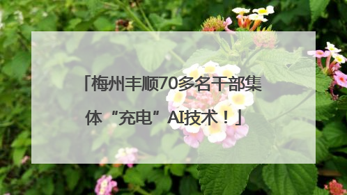 梅州丰顺70多名干部集体“充电”AI技术！