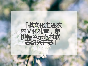 棋文化走进农村文化礼堂，象棋特色示范村联赛绍兴开赛