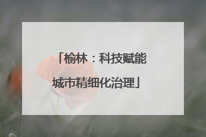 榆林：科技赋能城市精细化治理