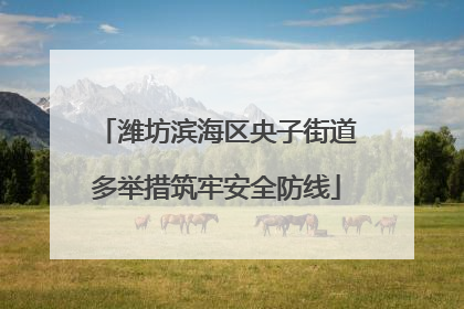 潍坊滨海区央子街道多举措筑牢安全防线