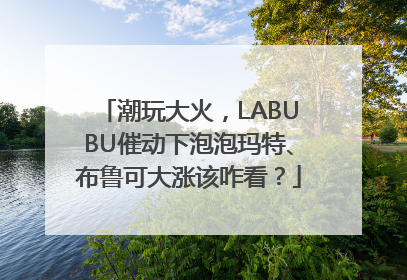 潮玩大火，LABUBU催动下泡泡玛特、布鲁可大涨该咋看？