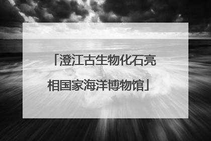 澄江古生物化石亮相国家海洋博物馆