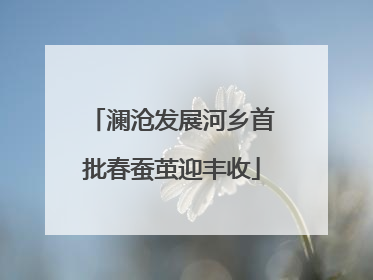 澜沧发展河乡首批春蚕茧迎丰收