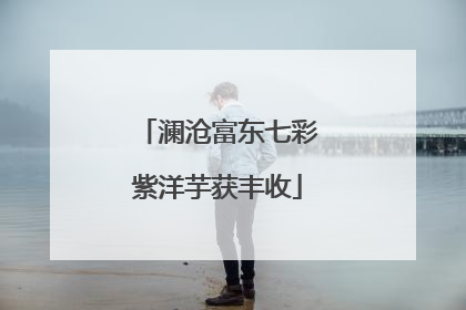 澜沧富东七彩紫洋芋获丰收
