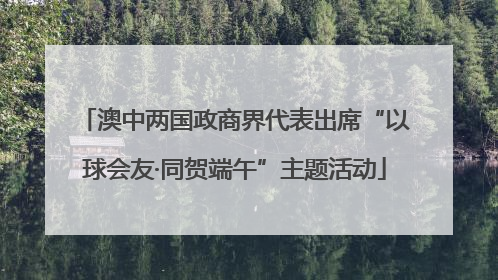 澳中两国政商界代表出席“以球会友·同贺端午”主题活动