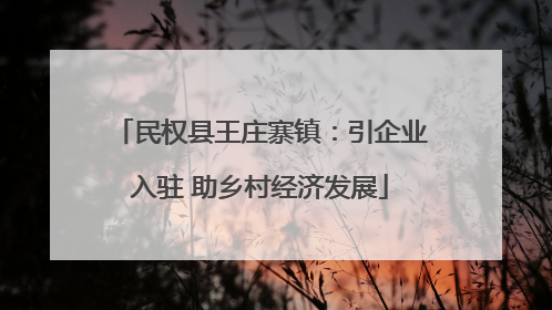 民权县王庄寨镇：引企业入驻 助乡村经济发展