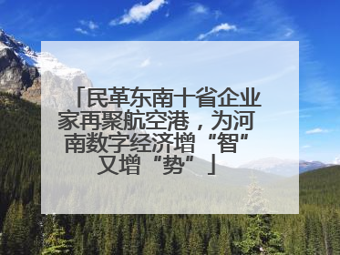民革东南十省企业家再聚航空港，为河南数字经济增“智”又增“势”