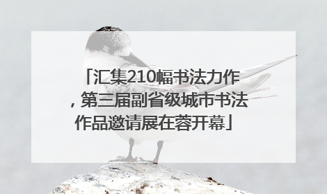 汇集210幅书法力作，第三届副省级城市书法作品邀请展在蓉开幕