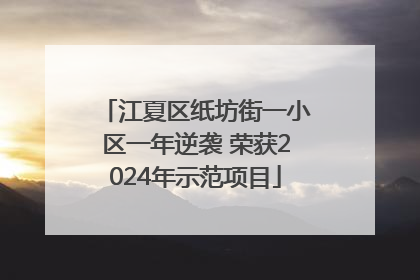 江夏区纸坊街一小区一年逆袭 荣获2024年示范项目