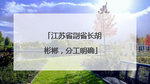 江苏省副省长胡彬郴，分工明确