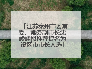 江苏泰州市委常委、常务副市长沈峻峰拟推荐提名为设区市市长人选