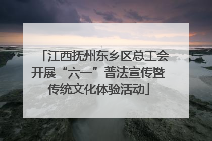 江西抚州东乡区总工会开展“六一”普法宣传暨传统文化体验活动
