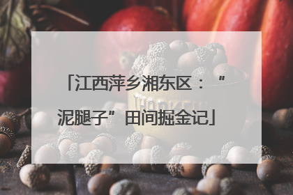 江西萍乡湘东区：“泥腿子”田间掘金记