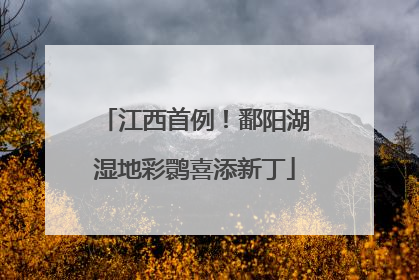 江西首例！鄱阳湖湿地彩鹮喜添新丁