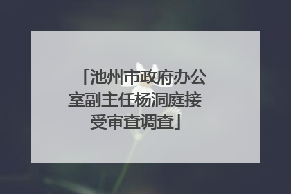 池州市政府办公室副主任杨洞庭接受审查调查