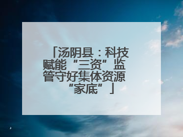 汤阴县：科技赋能“三资”监管守好集体资源“家底”