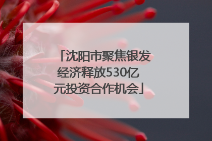 沈阳市聚焦银发经济释放530亿元投资合作机会
