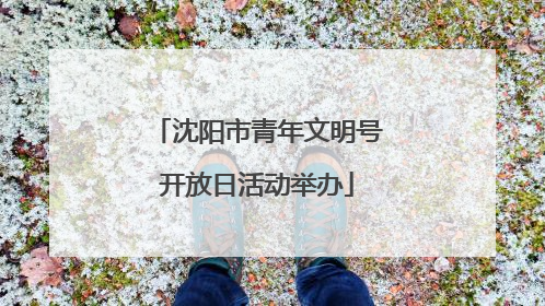 沈阳市青年文明号开放日活动举办