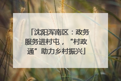 沈阳浑南区：政务服务进村屯，“村政通”助力乡村振兴