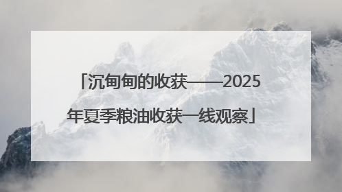 沉甸甸的收获——2025年夏季粮油收获一线观察
