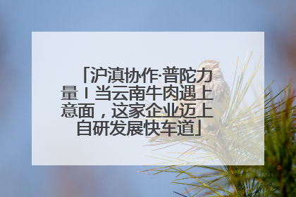 沪滇协作·普陀力量〡当云南牛肉遇上意面，这家企业迈上自研发展快车道