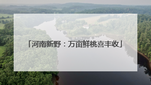 河南新野：万亩鲜桃喜丰收