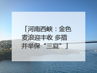 河南西峡：金色麦浪迎丰收 多措并举保“三夏”