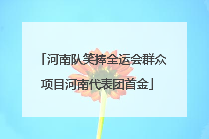 河南队笑捧全运会群众项目河南代表团首金