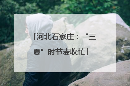 河北石家庄：“三夏”时节麦收忙