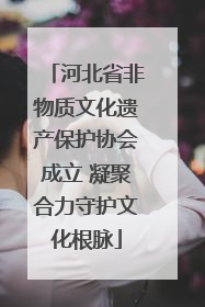 河北省非物质文化遗产保护协会成立 凝聚合力守护文化根脉