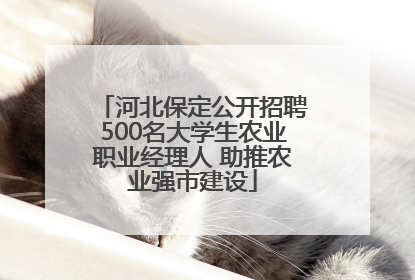 河北保定公开招聘500名大学生农业职业经理人 助推农业强市建设