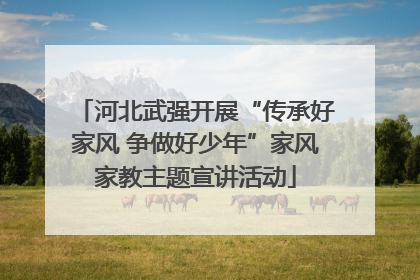 河北武强开展“传承好家风 争做好少年”家风家教主题宣讲活动