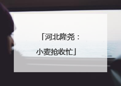 河北隆尧：小麦抢收忙