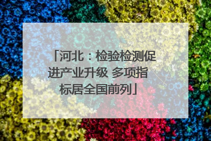 河北：检验检测促进产业升级 多项指标居全国前列