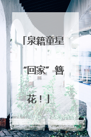 泉籍童星“回家”簪花！