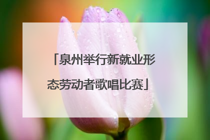 泉州举行新就业形态劳动者歌唱比赛