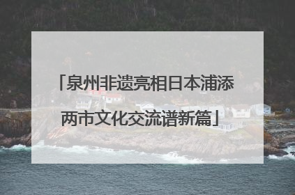 泉州非遗亮相日本浦添 两市文化交流谱新篇