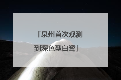 泉州首次观测到深色型白鹭