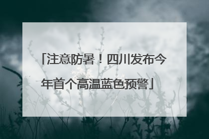 注意防暑！四川发布今年首个高温蓝色预警