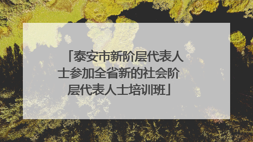泰安市新阶层代表人士参加全省新的社会阶层代表人士培训班