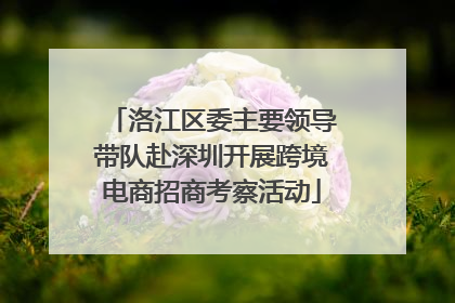 洛江区委主要领导带队赴深圳开展跨境电商招商考察活动