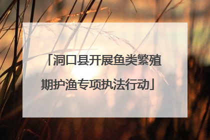 洞口县开展鱼类繁殖期护渔专项执法行动