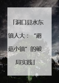 洞口县水东镇人大：“蘑菇小镇”的破局实践