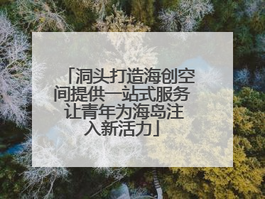 洞头打造海创空间提供一站式服务 让青年为海岛注入新活力