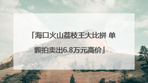 海口火山荔枝王大比拼 单颗拍卖出6.8万元高价