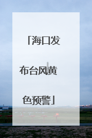 海口发布台风黄色预警