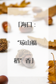 海口：“琼山福稻”香