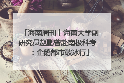 海南周刊丨海南大学副研究员赵鹏曾赴南极科考：企鹅都市破冰行